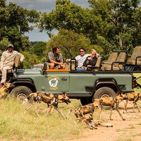 Kambaku Safari Lodge Timbavati Game Reserve Luaran gambar