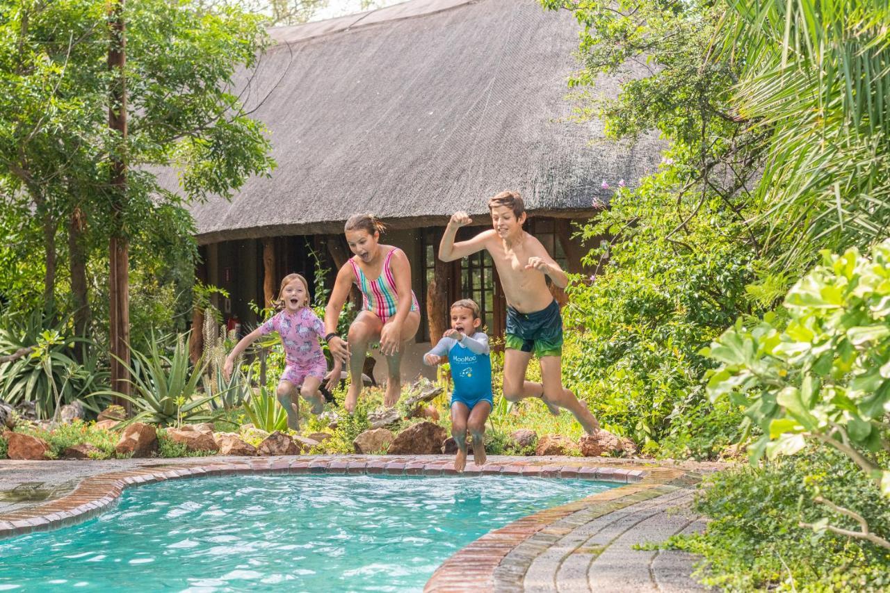 Kambaku Safari Lodge Timbavati Game Reserve Luaran gambar