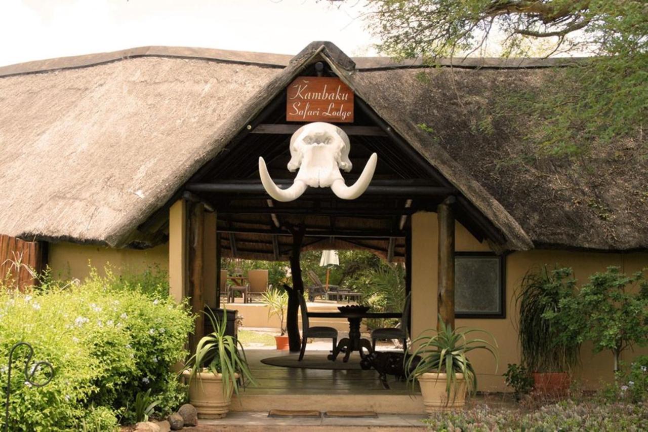 Kambaku Safari Lodge Timbavati Game Reserve Luaran gambar