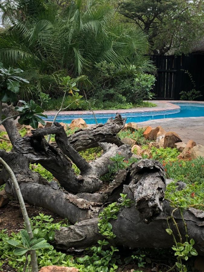 Kambaku Safari Lodge Timbavati Game Reserve Luaran gambar