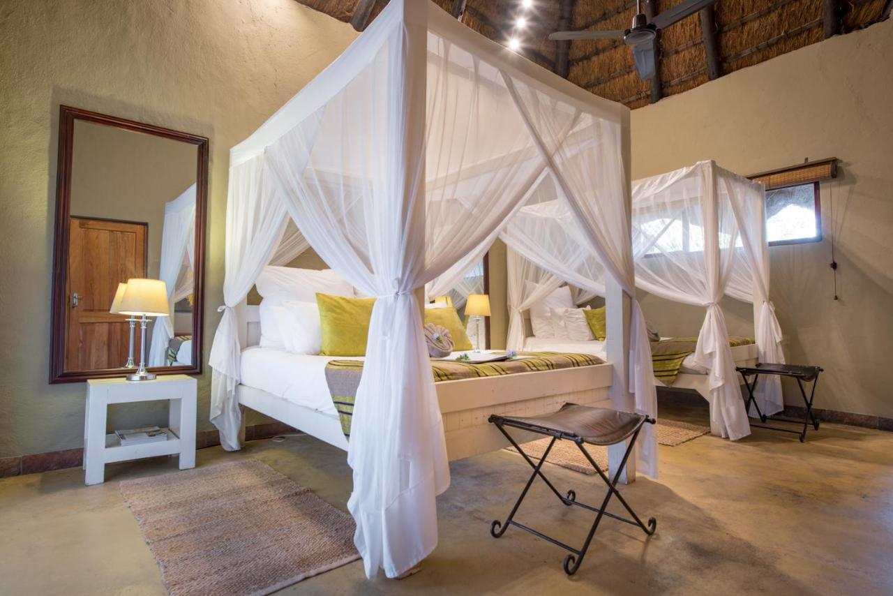 Kambaku Safari Lodge Timbavati Game Reserve Luaran gambar