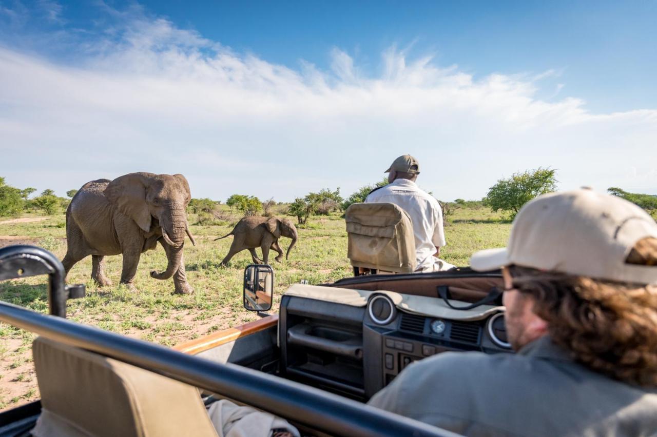 Kambaku Safari Lodge Timbavati Game Reserve Luaran gambar