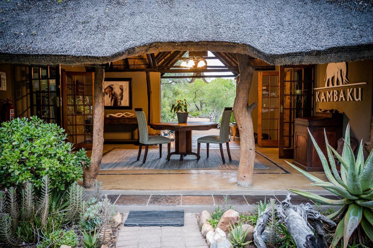 Kambaku Safari Lodge Timbavati Game Reserve Luaran gambar