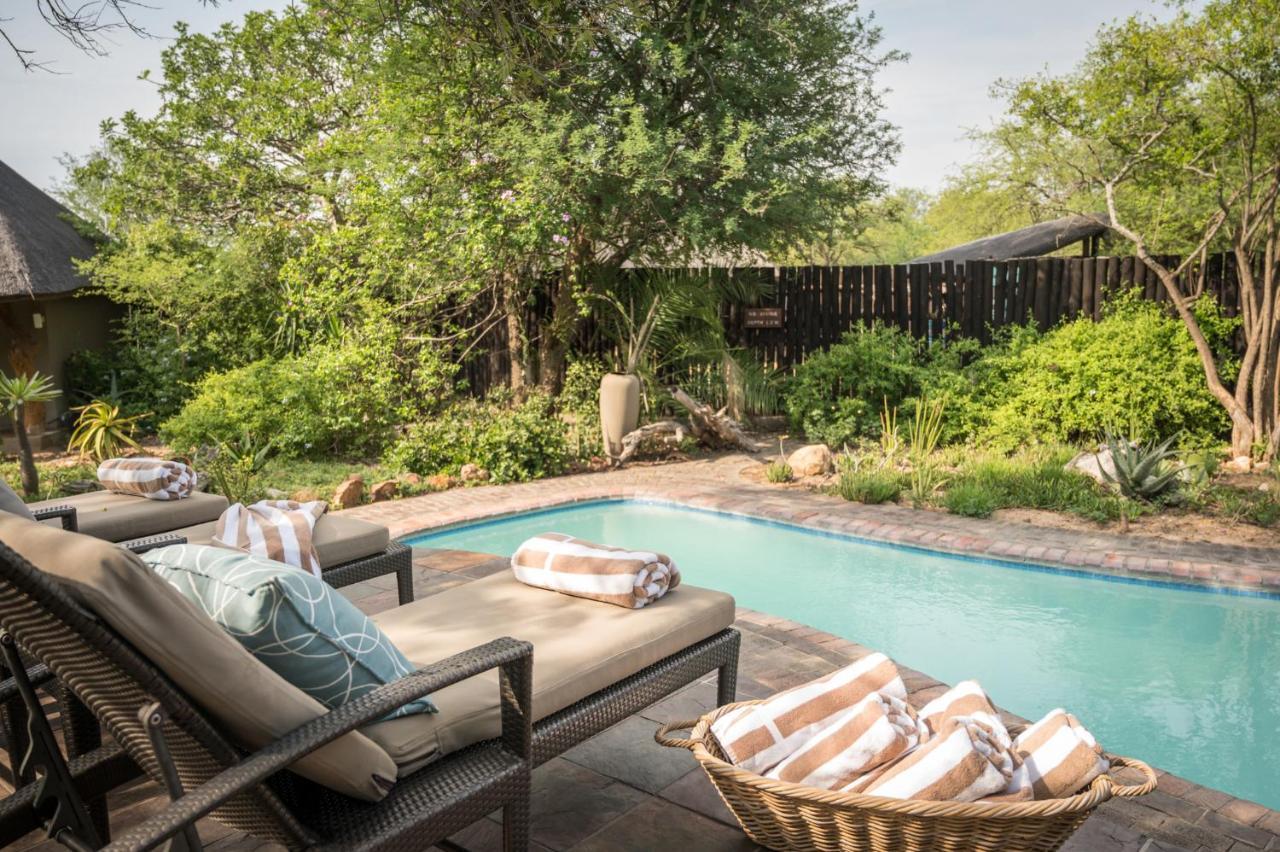 Kambaku Safari Lodge Timbavati Game Reserve Luaran gambar