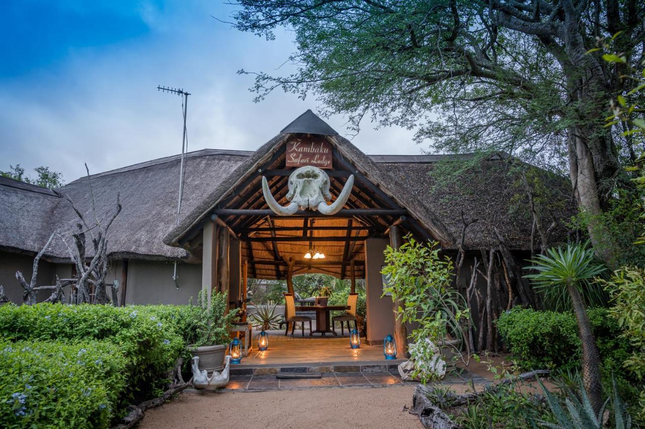 Kambaku Safari Lodge Timbavati Game Reserve Luaran gambar