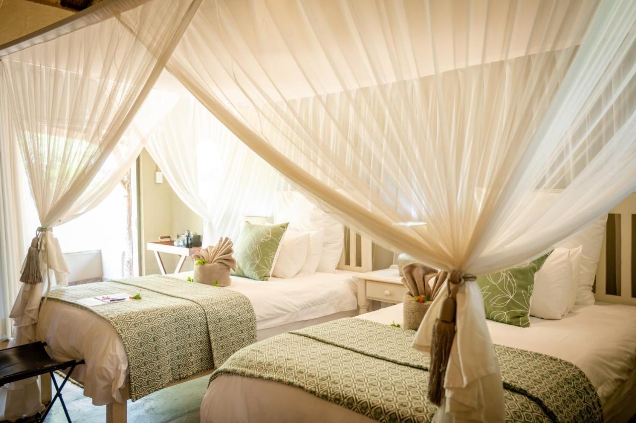 Kambaku Safari Lodge Timbavati Game Reserve Luaran gambar