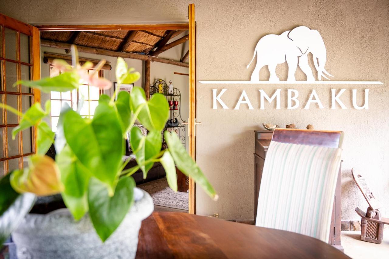 Kambaku Safari Lodge Timbavati Game Reserve Luaran gambar