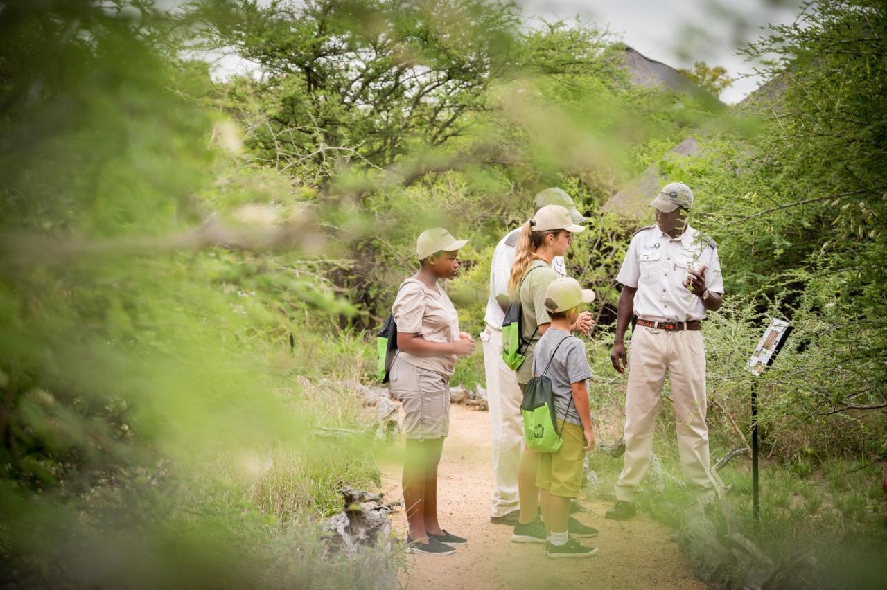 Kambaku Safari Lodge Timbavati Game Reserve Luaran gambar