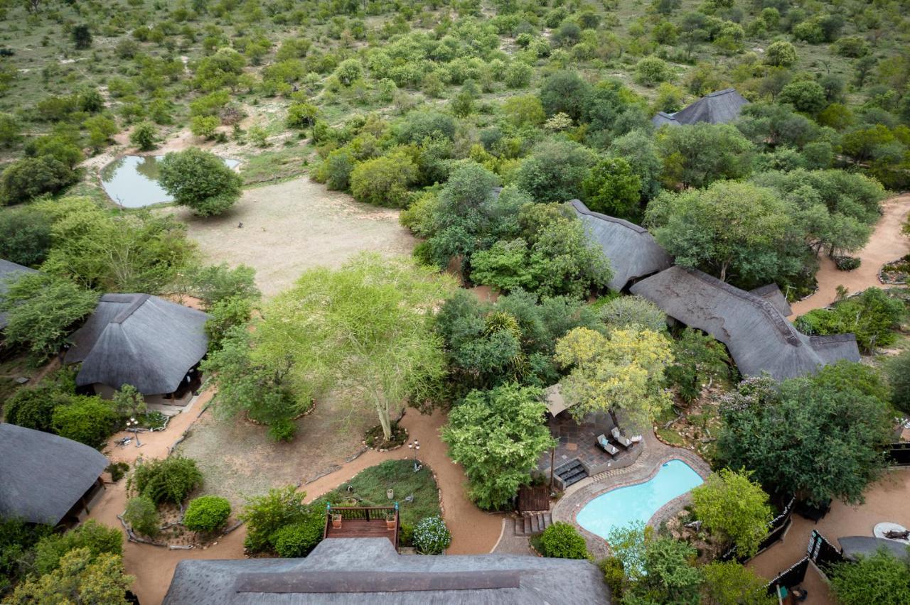 Kambaku Safari Lodge Timbavati Game Reserve Luaran gambar