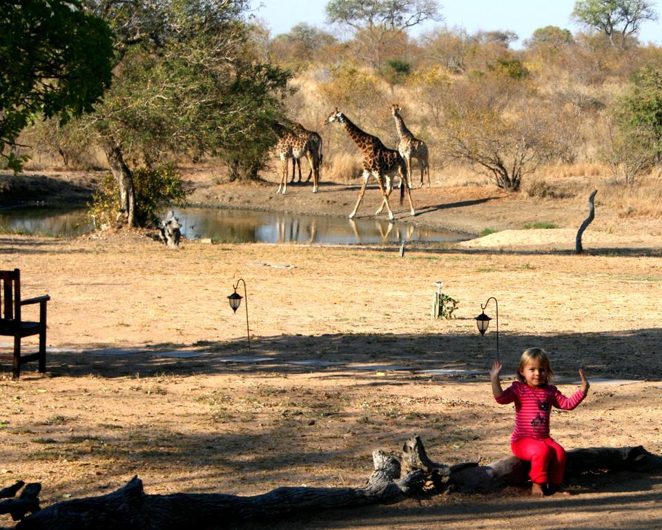 Kambaku Safari Lodge Timbavati Game Reserve Luaran gambar