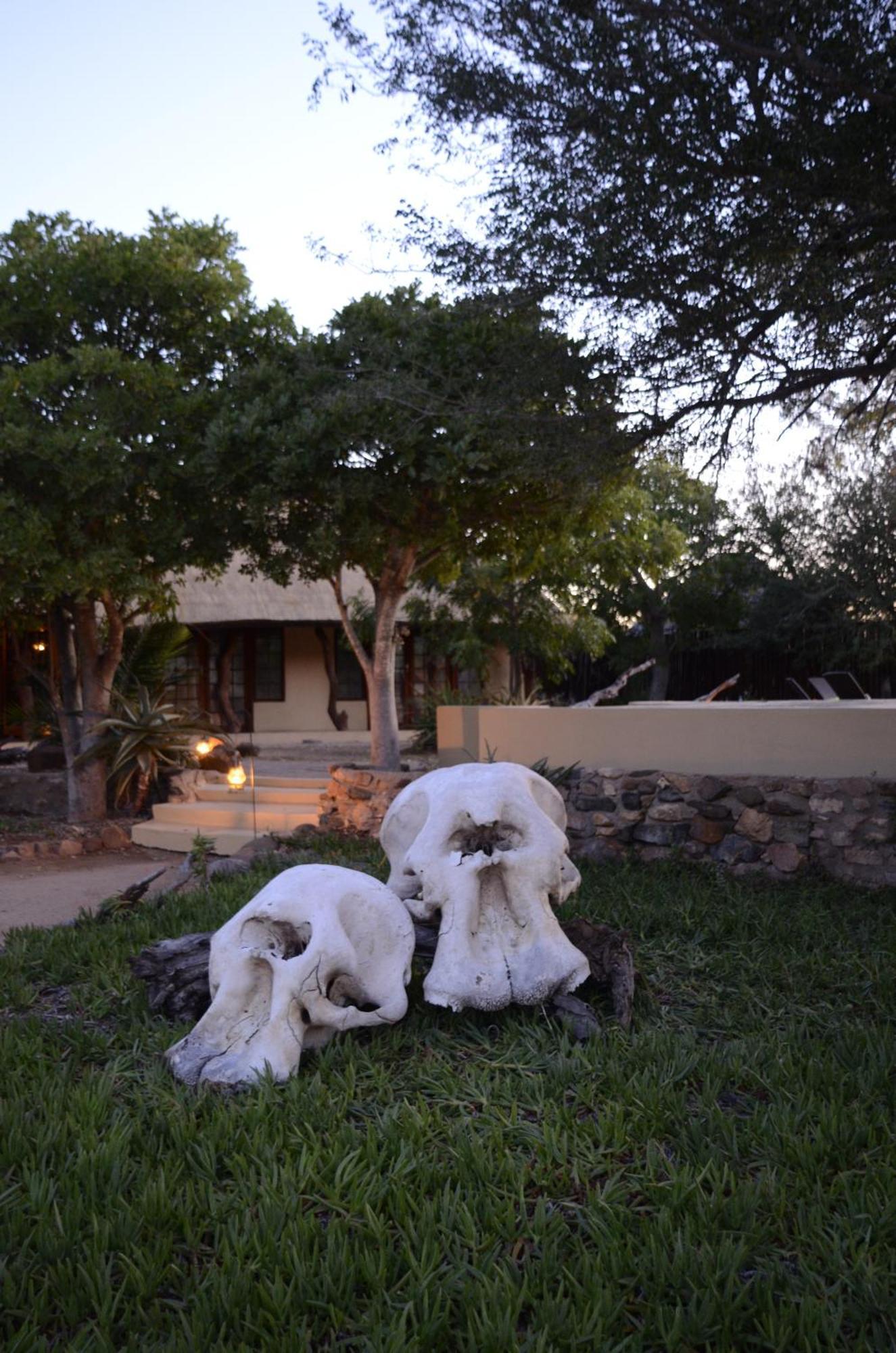 Kambaku Safari Lodge Timbavati Game Reserve Luaran gambar