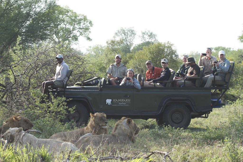 Kambaku Safari Lodge Timbavati Game Reserve Luaran gambar