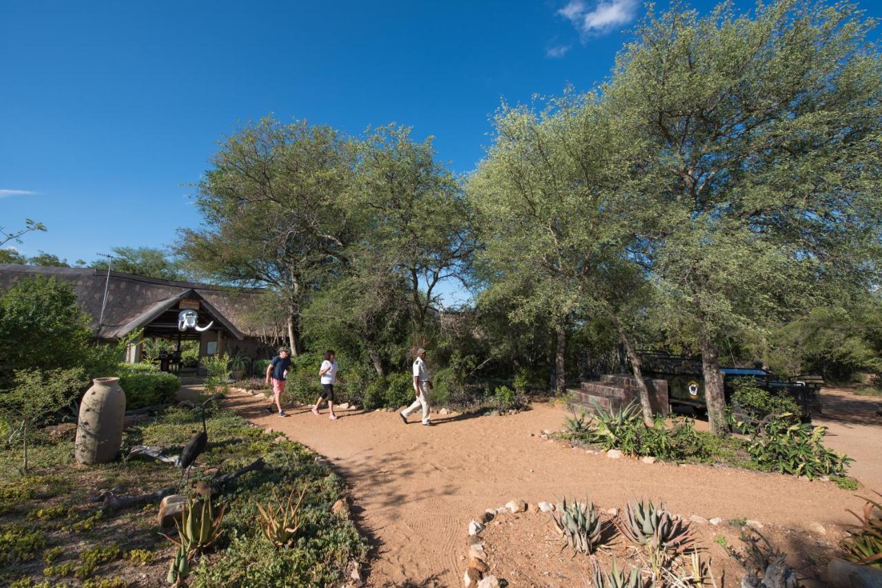 Kambaku Safari Lodge Timbavati Game Reserve Luaran gambar
